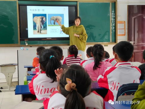 上海幼儿园理科班，开启学竞赛课程新篇章